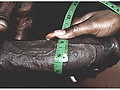 Filename=ac265ace.jpg
Filesize=301KB
Dimensions=1280x830
Date added=Nov 18, 2020 ac265ace.jpg