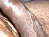 c3191d87.jpg