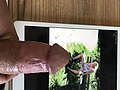 4a68d149.jpg