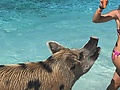 Filename=26b369fc.jpg
Filesize=297KB
Dimensions=778x952
Date added=May 11, 2021 26b369fc.jpg
