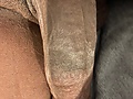 Filename=c0fe3cc3.jpg
Filesize=2757KB
Dimensions=3024x4032
Date added=Jun 23, 2021 c0fe3cc3.jpg