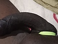 Filename=0407932b.jpg
Filesize=2048KB
Dimensions=4094x1848
Date added=Jun 29, 2021 0407932b.jpg