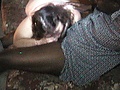 Filename=7ba62d58.jpg
Filesize=82KB
Dimensions=640x447
Date added=Jul 09, 2021 7ba62d58.jpg