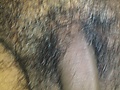 Filename=ce11b0e2.jpg
Filesize=2027KB
Dimensions=1944x2592
Date added=Jul 22, 2021 ce11b0e2.jpg