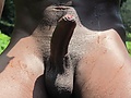 Filename=3ee165cc.jpg
Filesize=371KB
Dimensions=1297x938
Date added=Jul 27, 2021 3ee165cc.jpg