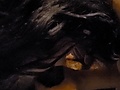 6f365f7a.jpg