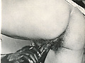 99315afa.jpg