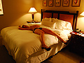 Filename=9131339b.jpg
Filesize=645KB
Dimensions=1200x803
Date added=Jan 09, 2022 9131339b.jpg