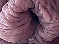 d6ef9576.jpeg