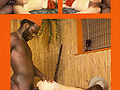 bc9c1f61.jpg