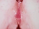 329b811f.jpg