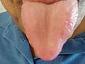 Filename=08771f2f.jpg
Filesize=2275KB
Dimensions=2556x3408
Date added=Jul 06, 2022 08771f2f.jpg