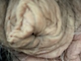 d70091e7.jpeg