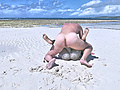 Filename=dfac101f.jpg
Filesize=11041KB
Dimensions=4095x2474
Date added=Aug 21, 2022 dfac101f.jpg