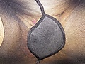 Filename=210c39ab.jpg
Filesize=4962KB
Dimensions=3072x4096
Date added=Aug 27, 2022 210c39ab.jpg