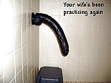 1087483f.jpg