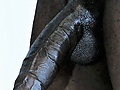 Filename=c3b635b6.jpg
Filesize=184KB
Dimensions=961x1213
Date added=Nov 30, 2022 c3b635b6.jpg