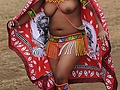 6d311c11.jpg