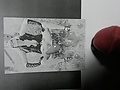 364f1e12.jpg