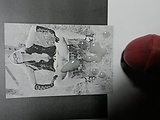 364f1e12.jpg