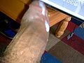 Filename=ffe797dd.jpg
Filesize=415KB
Dimensions=612x1024
Date added=Jun 20, 2023 ffe797dd.jpg