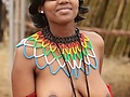 264740c1.jpg