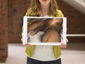 Filename=19cce2d2.jpg
Filesize=138KB
Dimensions=681x786
Date added=Jul 18, 2023 19cce2d2.jpg