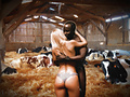 Filename=ee2da16f.jpg
Filesize=1004KB
Dimensions=1440x1080
Date added=Feb 14, 2024 ee2da16f.jpg
