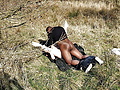 Filename=20b27d01.jpg
Filesize=197KB
Dimensions=916x596
Date added=Feb 14, 2024 20b27d01.jpg