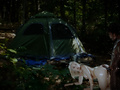 Filename=6d416a06.jpg
Filesize=409KB
Dimensions=1200x630
Date added=Feb 15, 2024 6d416a06.jpg