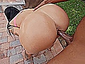 e88cdce0.jpg
