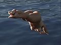 e35a1a45.jpeg
