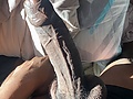 Filename=0c6c8314.jpg
Filesize=353KB
Dimensions=1100x2048
Date added=Feb 19, 2025 0c6c8314.jpg