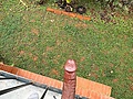 Filename=17c64638.jpg
Filesize=1160KB
Dimensions=1170x2532
Date added=Feb 19, 2025 17c64638.jpg