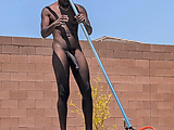 54449442.jpg