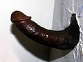 Filename=850da44a.jpg
Filesize=56KB
Dimensions=691x600
Date added=Jul 12, 2025 850da44a.jpg