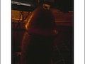 Filename=me_freak_2.jpg
Filesize=18KB
Dimensions=406x406
Date added=Nov 29, 2008 me_freak_2.jpg