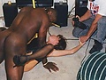 Filename=2f2c.jpg
Filesize=19KB
Dimensions=400x267
Date added=Jan 10, 2008 2f2c.jpg