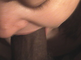 Picture_527.jpg