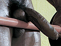 Filename=llll.jpg
Filesize=435KB
Dimensions=476x312
Date added=May 05, 2007 llll.jpg