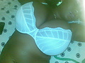 Filename=13122008(005).jpg
Filesize=439KB
Dimensions=1600x1200
Date added=Mar 02, 2009 13122008(005).jpg