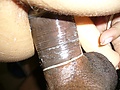 sexpic1_052.jpg