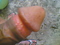 Filename=Cock-head.jpg
Filesize=356KB
Dimensions=1280x960
Date added=May 24, 2009 Cock-head.jpg
