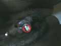 imagejpeg_6.jpg