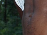 gentle_giant50.jpg