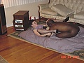 Filename=DaIng30117.jpg
Filesize=454KB
Dimensions=1024x768
Date added=Nov 02, 2009 DaIng30117.jpg