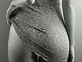 tumblr_lr7mqu9M161qcsb7zo1_500.jpg