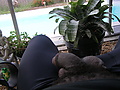 Filename=Picture_137.jpg
Filesize=1143KB
Dimensions=2024x1518
Date added=Aug 06, 2009 Picture_137.jpg