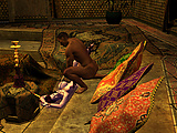 ArabianDreams19.jpg