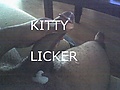 Kitty-Licker-4.jpg